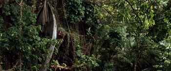 Movie still from “Greystoke: The Legend of Tarzan, Lord of the Apes” (1984), directed by Hugh Hudson – A view of a forest with trees and bushes; Extreme Wide shot, High angle