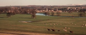 Movie still from “Greystoke: The Legend of Tarzan, Lord of the Apes” (1984), directed by Hugh Hudson – A herd of horses running across a lush green field; Extreme Wide shot, High angle