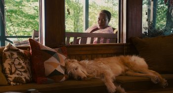 Movie still from “Grown Ups” (2010), directed by Dennis Dugan – A dog laying on a bench next to a woman; Medium shot, Over the shoulder angle