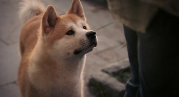 Movie still from “Hachi: A Dog's Tale” (2009), directed by Lasse Hallström – A dog looking at a person; Extreme Close Up shot, Over the shoulder angle