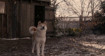 Movie still from “Hachi: A Dog's Tale” (2009), directed by Lasse Hallström – A dog standing in the dirt near a building; Wide shot, Low angle