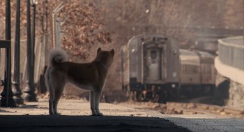 Movie still from “Hachi: A Dog's Tale” (2009), directed by Lasse Hallström – A brown and white dog standing on top of a road; Wide shot, High angle