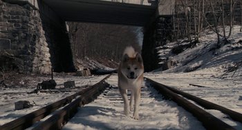 Movie still from “Hachi: A Dog's Tale” (2009), directed by Lasse Hallström – A brown and white dog standing on top of a snow covered ground; Wide shot, High angle