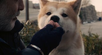 Movie still from “Hachi: A Dog's Tale” (2009), directed by Lasse Hallström – A person petting a brown and white dog's nose; Extreme Close Up shot, High angle