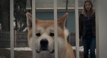 Movie still from “Hachi: A Dog's Tale” (2009), directed by Lasse Hallström – A dog behind a metal fence; Close Up shot, Low angle