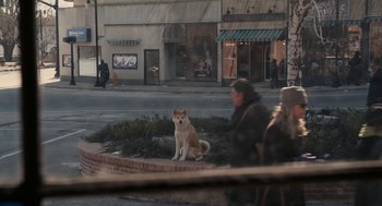 Movie still from “Hachi: A Dog's Tale” (2009), directed by Lasse Hallström – A dog sitting on the ground in front of a building; Wide shot, High angle
