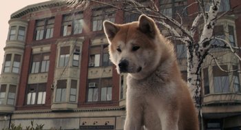 Movie still from “Hachi: A Dog's Tale” (2009), directed by Lasse Hallström – A dog in front of a building; Extreme Close Up shot, Low angle