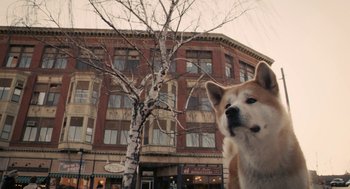 Movie still from “Hachi: A Dog's Tale” (2009), directed by Lasse Hallström – A brown and white dog standing next to a tree; Wide shot, Low angle