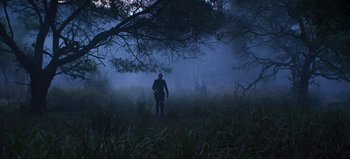 Movie still from “True History of the Kelly Gang” (2019), directed by Justin Kurzel – A man standing in the middle of a field in the fog; Extreme Wide shot, Low angle