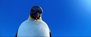 Movie still from “Happy Feet” (2006), directed by Warren Coleman – The head of a penguin; Close Up shot, Low angle