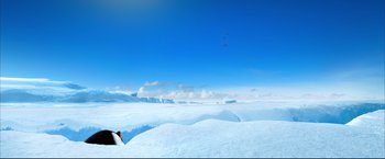 Movie still from “Happy Feet” (2006), directed by Warren Coleman – A view of a snow covered field with birds flying in the distance; Extreme Wide shot, High angle