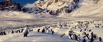 Movie still from “Happy Feet” (2006), directed by Warren Coleman – A flock of penguins in the middle of a snowy field; Extreme Wide shot, High angle