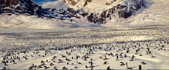 Movie still from “Happy Feet” (2006), directed by Warren Coleman – A flock of birds flying over a snow covered field; Extreme Wide shot, High angle